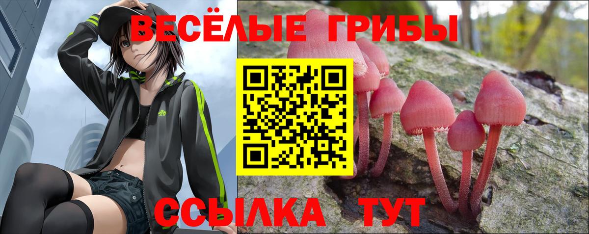 Псилоцибиновые грибы Cubensis  Вход с VPN  Нефтекамск  Галлюциногенные грибы Psilocybe 